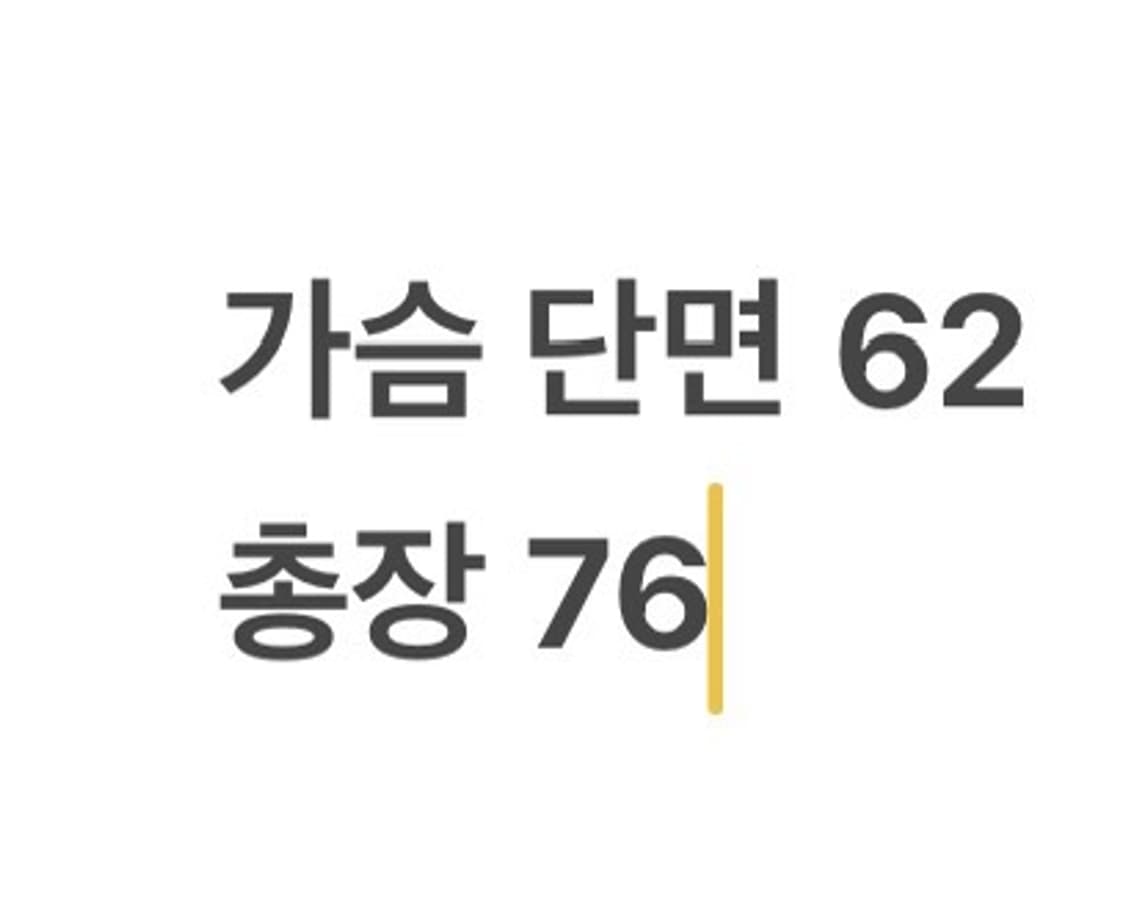 [ 정품 ] 입생로랑 로고 다운 패딩 b15 상품이미지9