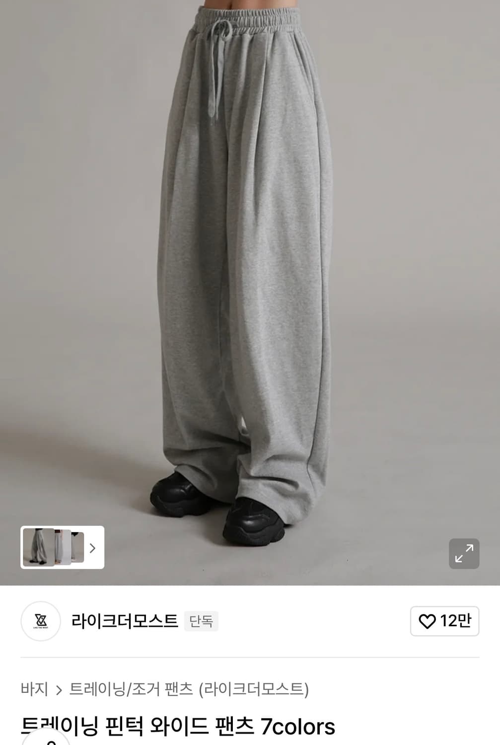 트레이닝 핀턱 와이드 팬츠 그레이 M 상품이미지1