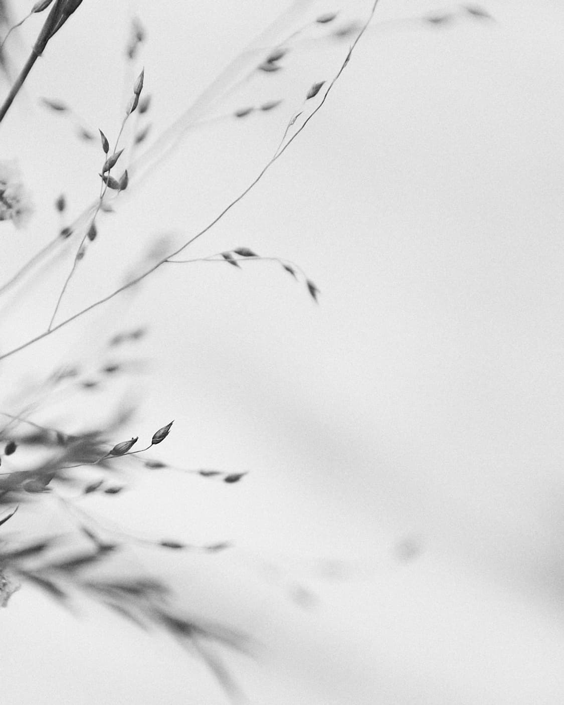 fufufufu77님 결제창 상품이미지1