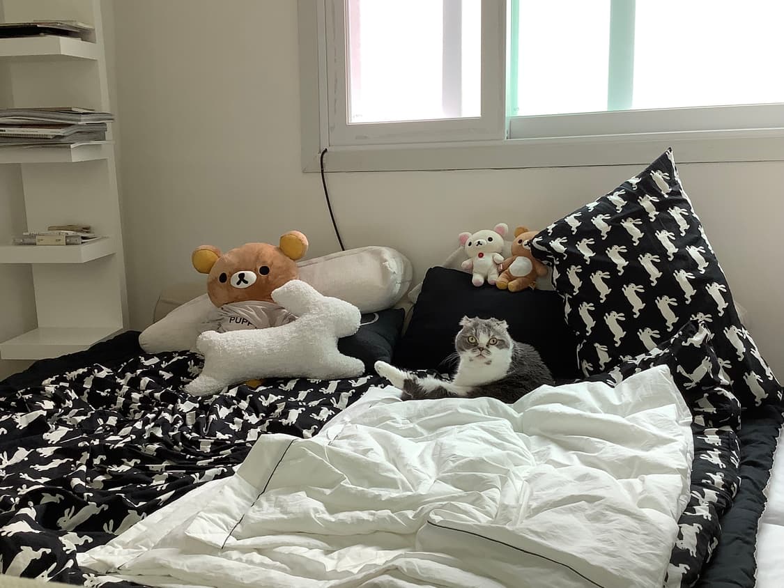 키티버니포니 플레인 해피 버니 이불 커버 퀸사이즈 duvet cover 상품이미지2