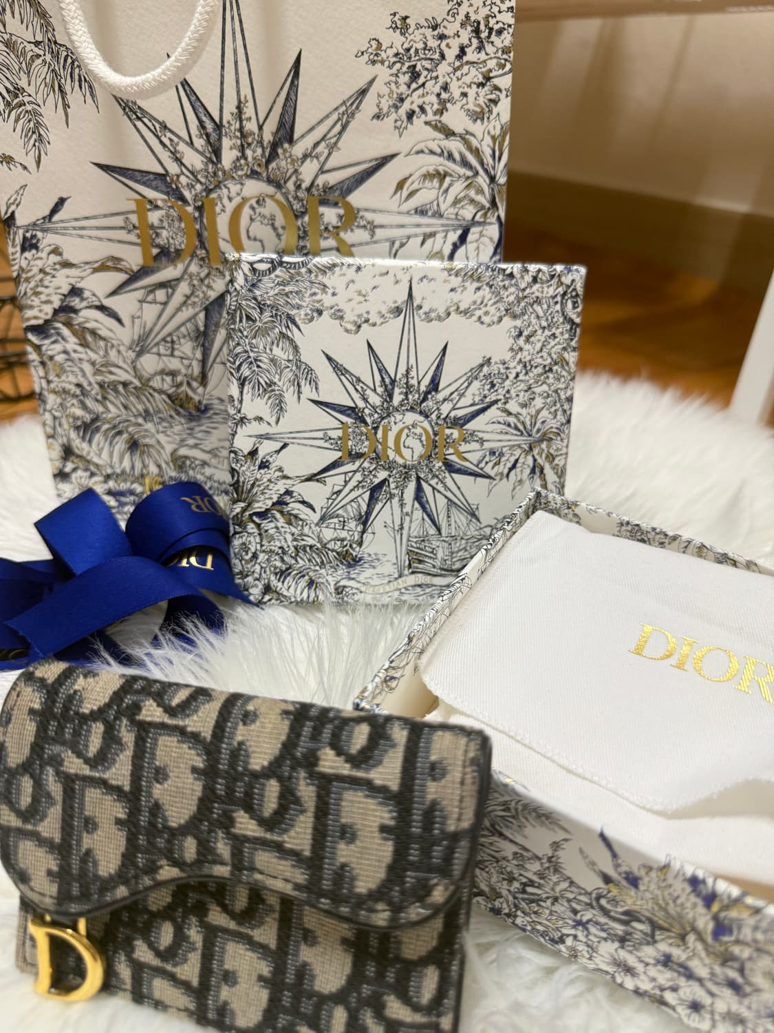 디올 오블리크 새들 카드지갑 상품이미지1