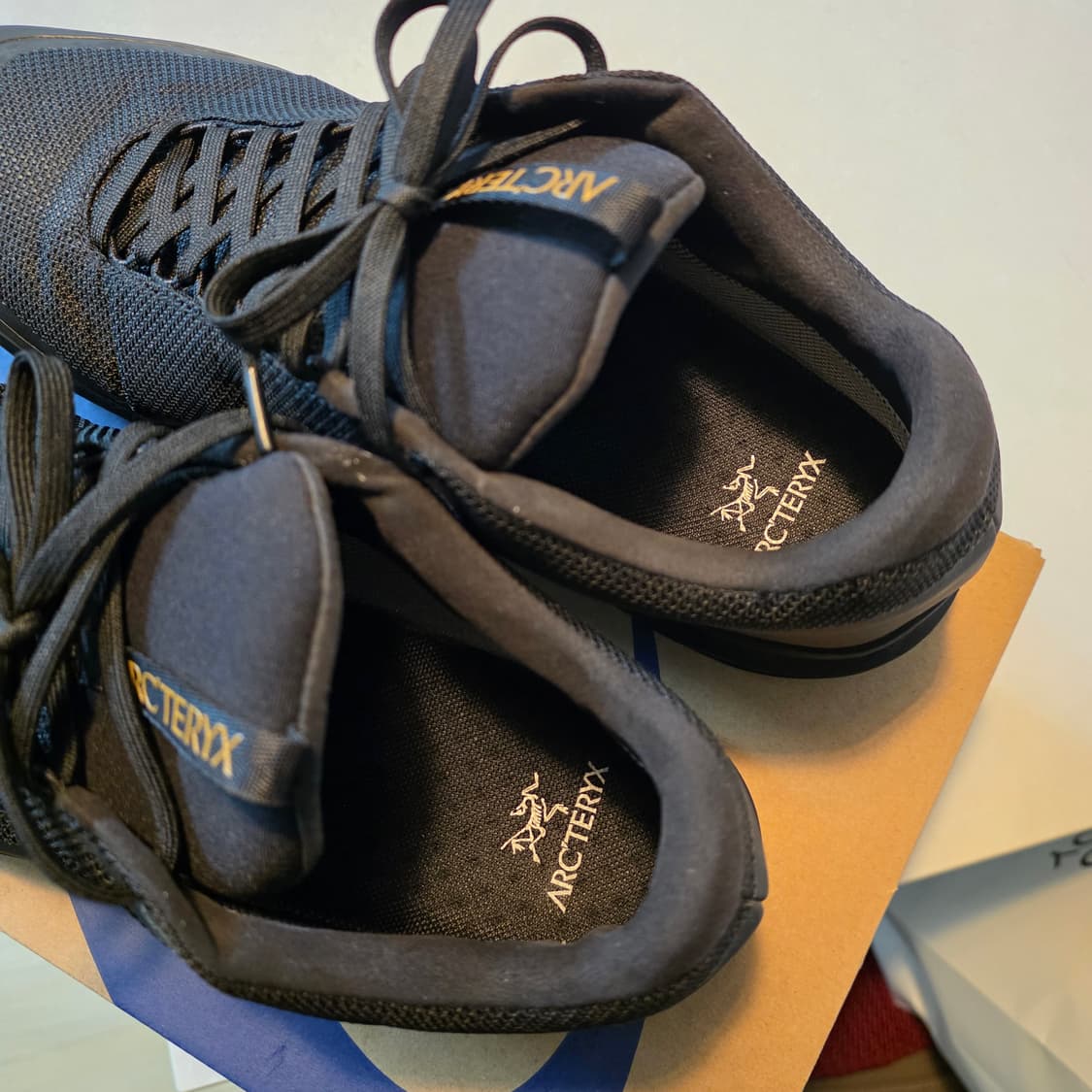 아크테릭스 FW22 에어리어스 FL 2 GTX트레이킹화 280size 상품이미지3