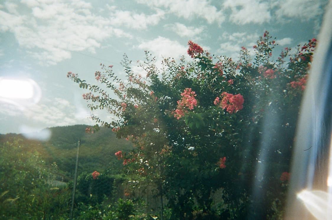 (작례O)Pentax Espio 120SW 자동 필름 카메라 상품이미지9