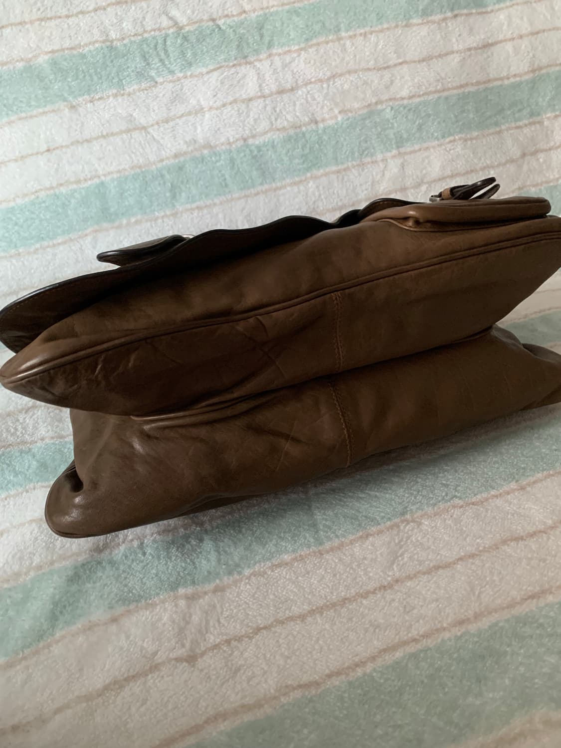 디올 가우초백 상품이미지8