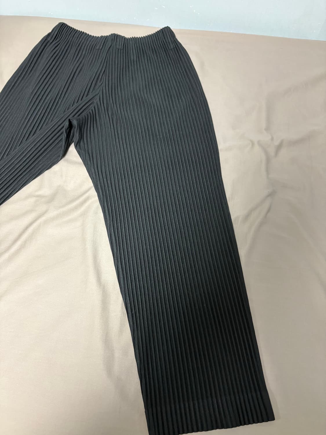 이세이미야케 옴므플리세 베이직팬츠 블랙1 상품이미지5