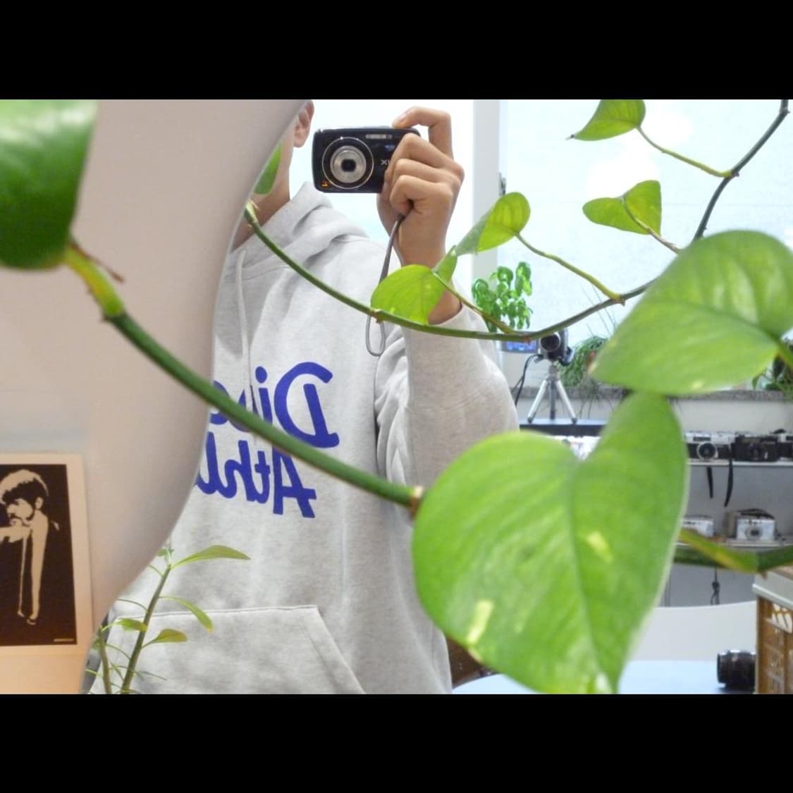 파나소닉 DSC-S1  파스텔 블루 소프트💎 빈티지 디카 디지털카메라 상품이미지2