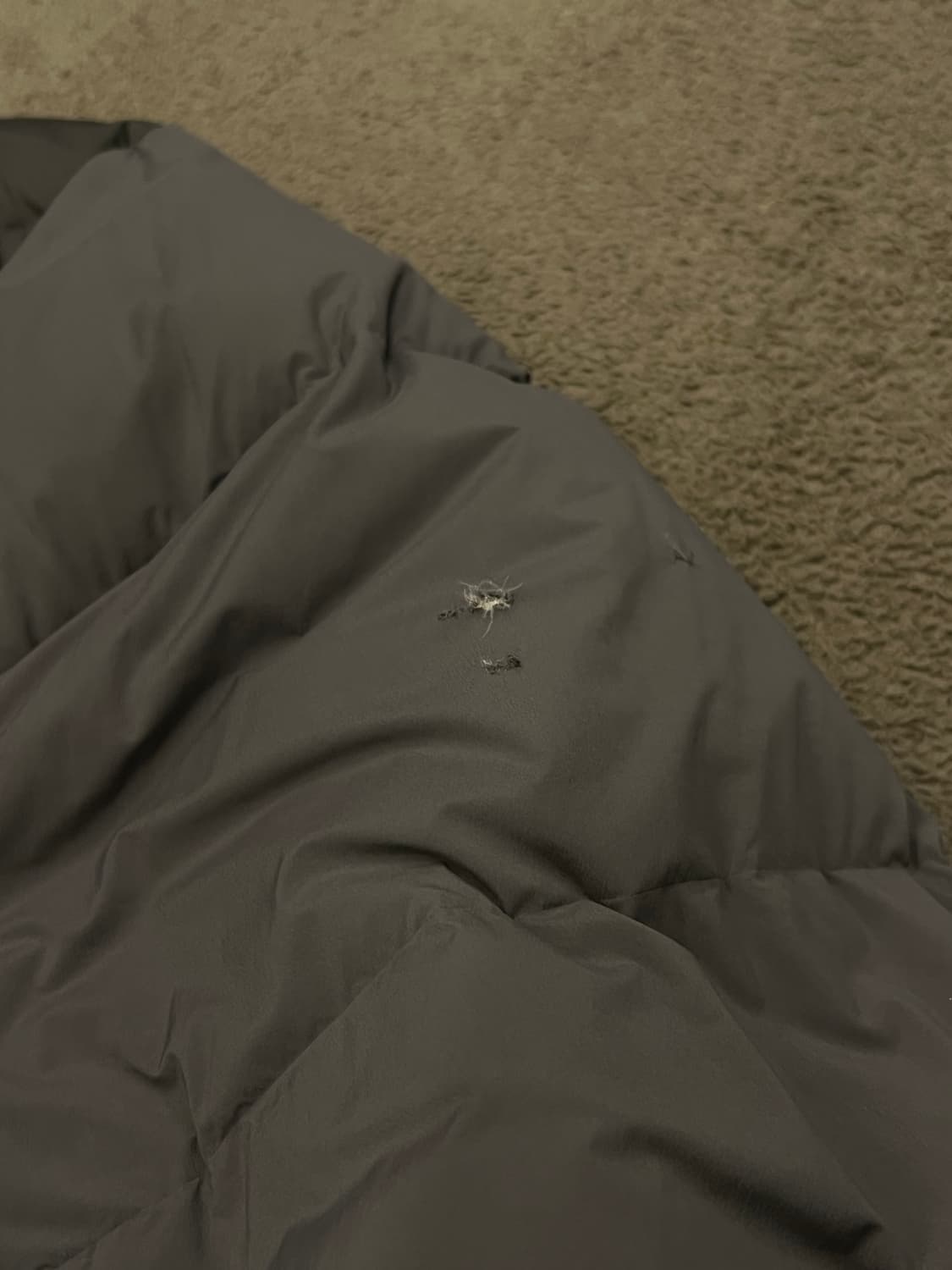 노스페이스 슈퍼플렉스 눕시 다운 자켓 처분  상품이미지5