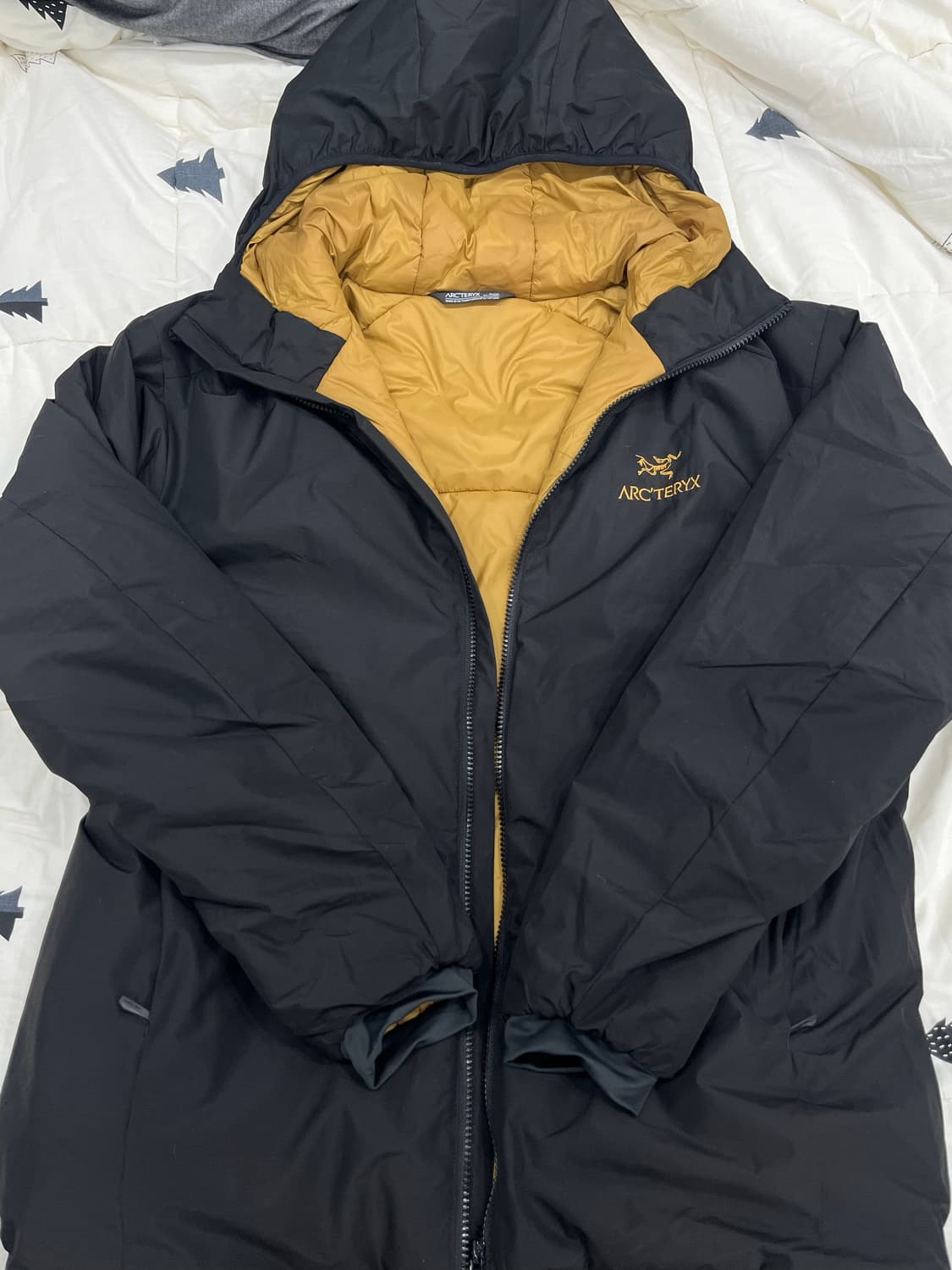 아크테릭스 아톰 AR 빈티지 상품이미지2