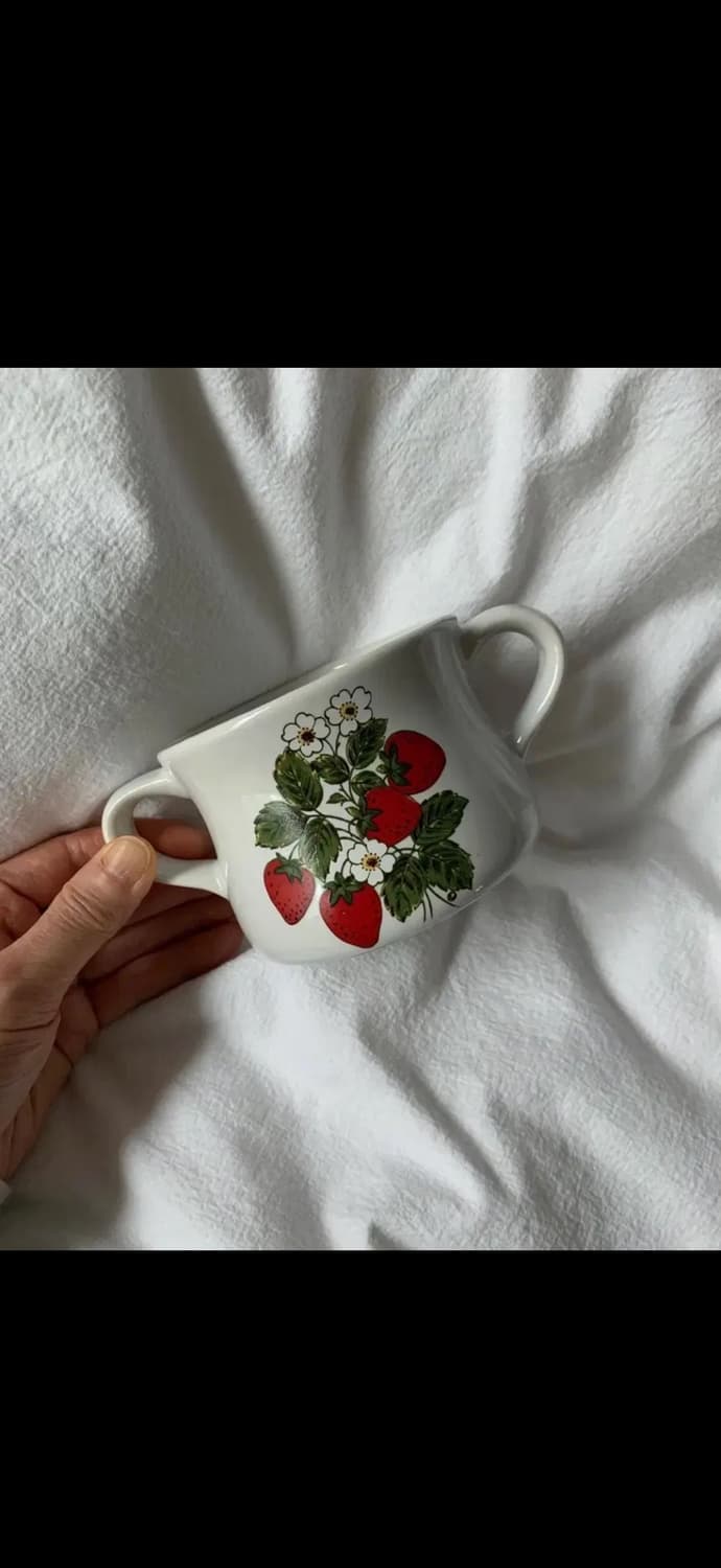 빈티지 스트로베리 양손습볼  상품이미지1