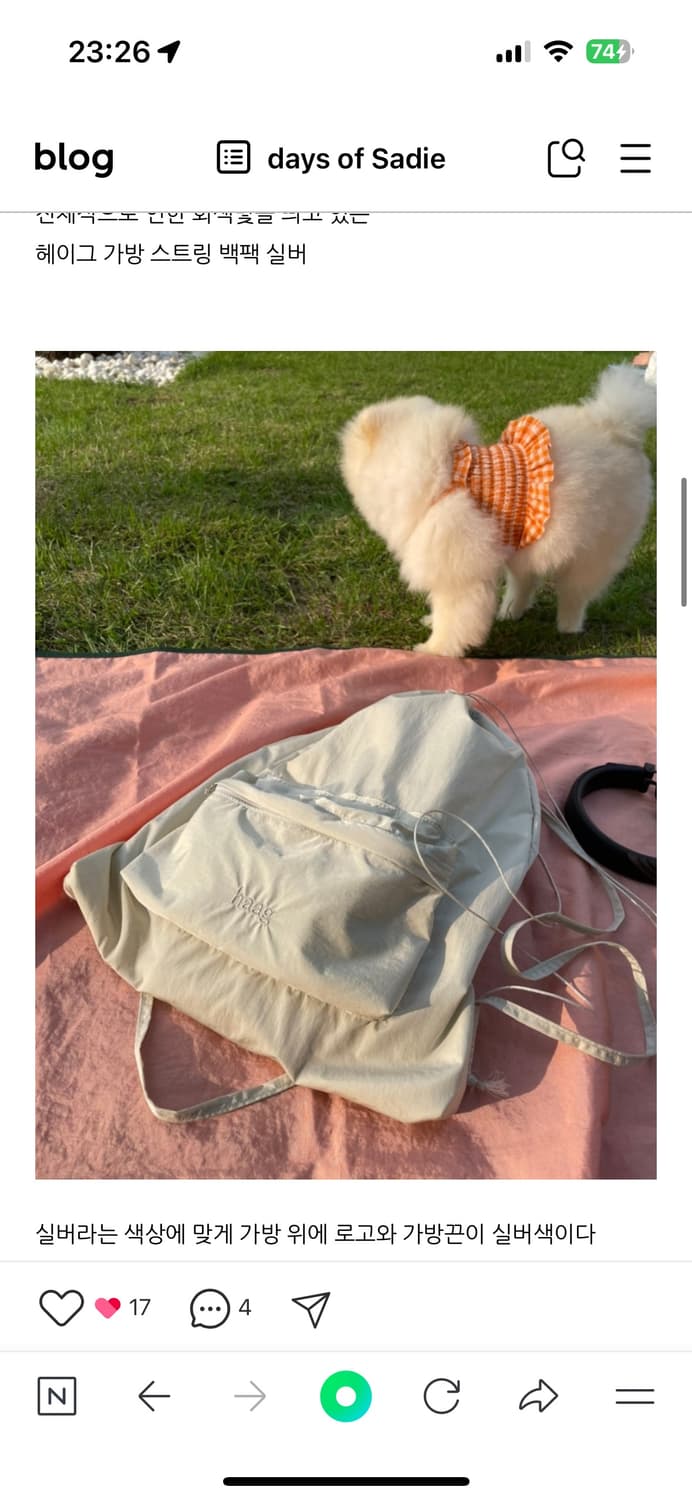 헤이그 백팩 실버 상품이미지3