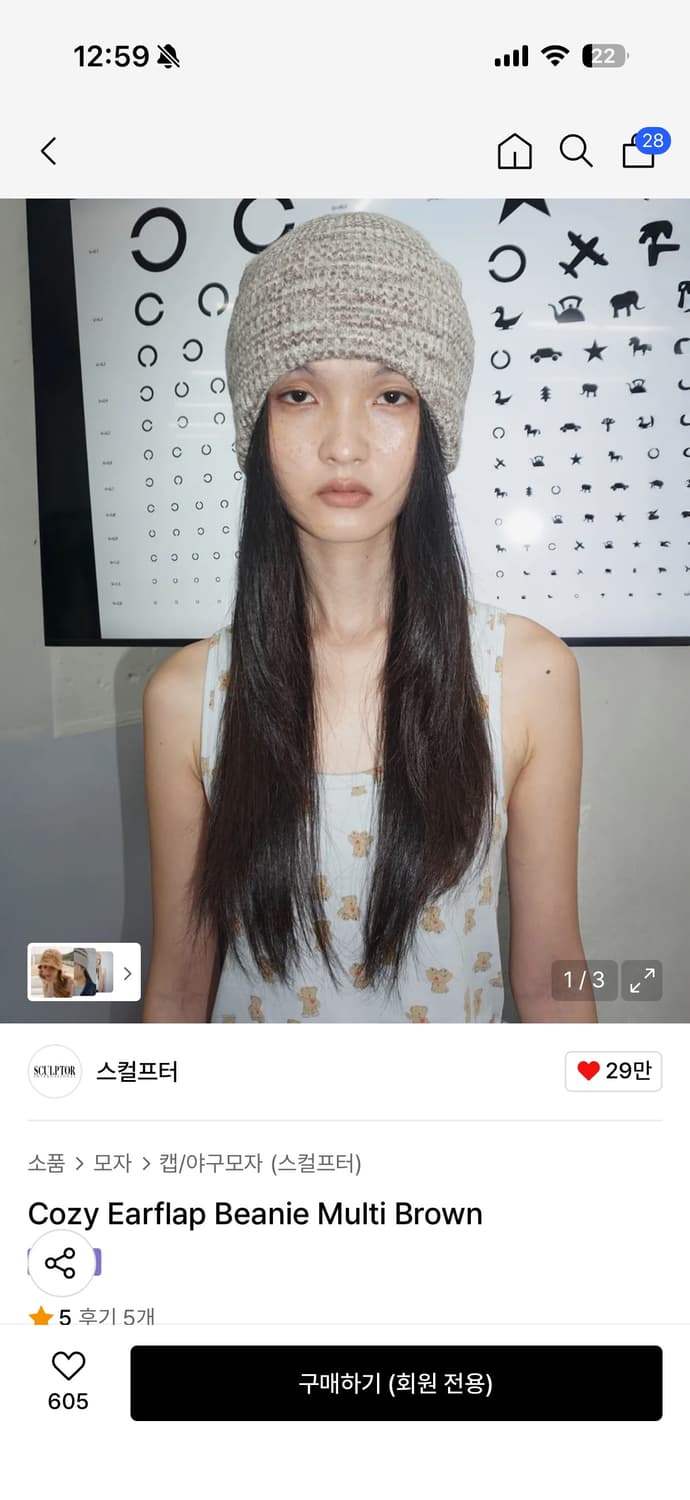 Cozy Earflap Beanie Multi Brown 상품이미지1