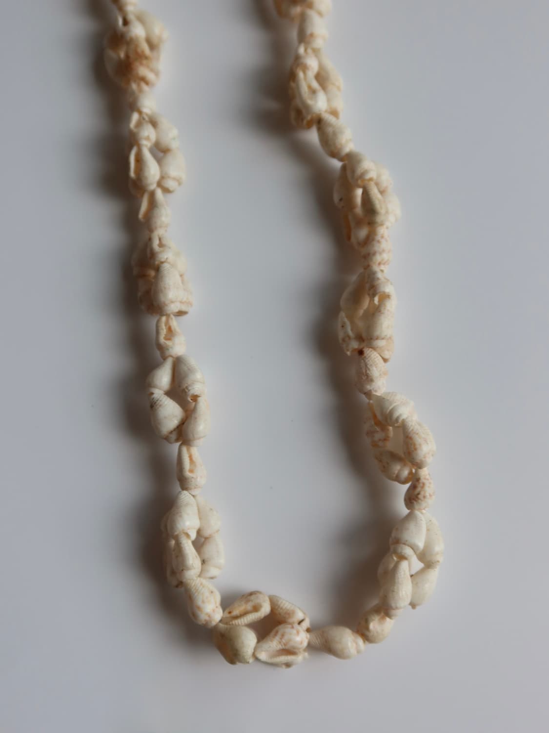natural shell long necklace 상품이미지4
