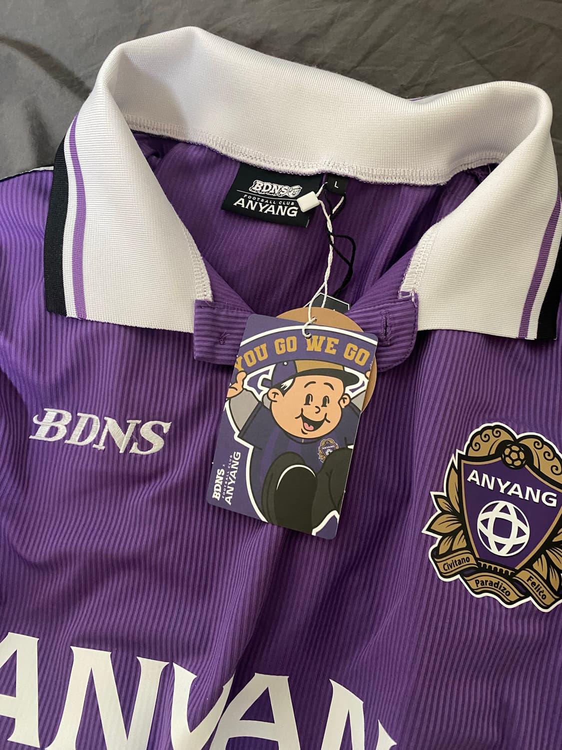 빠더너스 x FC안양 챔피언 롱슬리브 저지 L사이즈 팝니다 상품이미지2