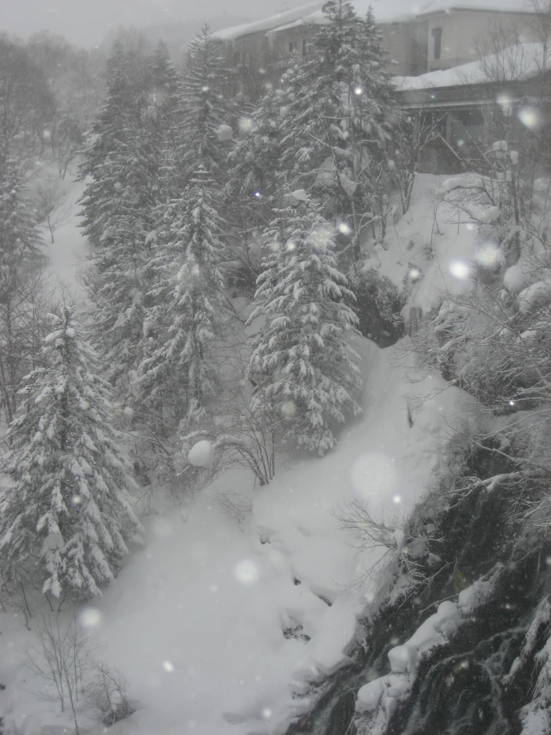 필름색감&강추!) Canon IXUS 65 디카 카메라 상품이미지2