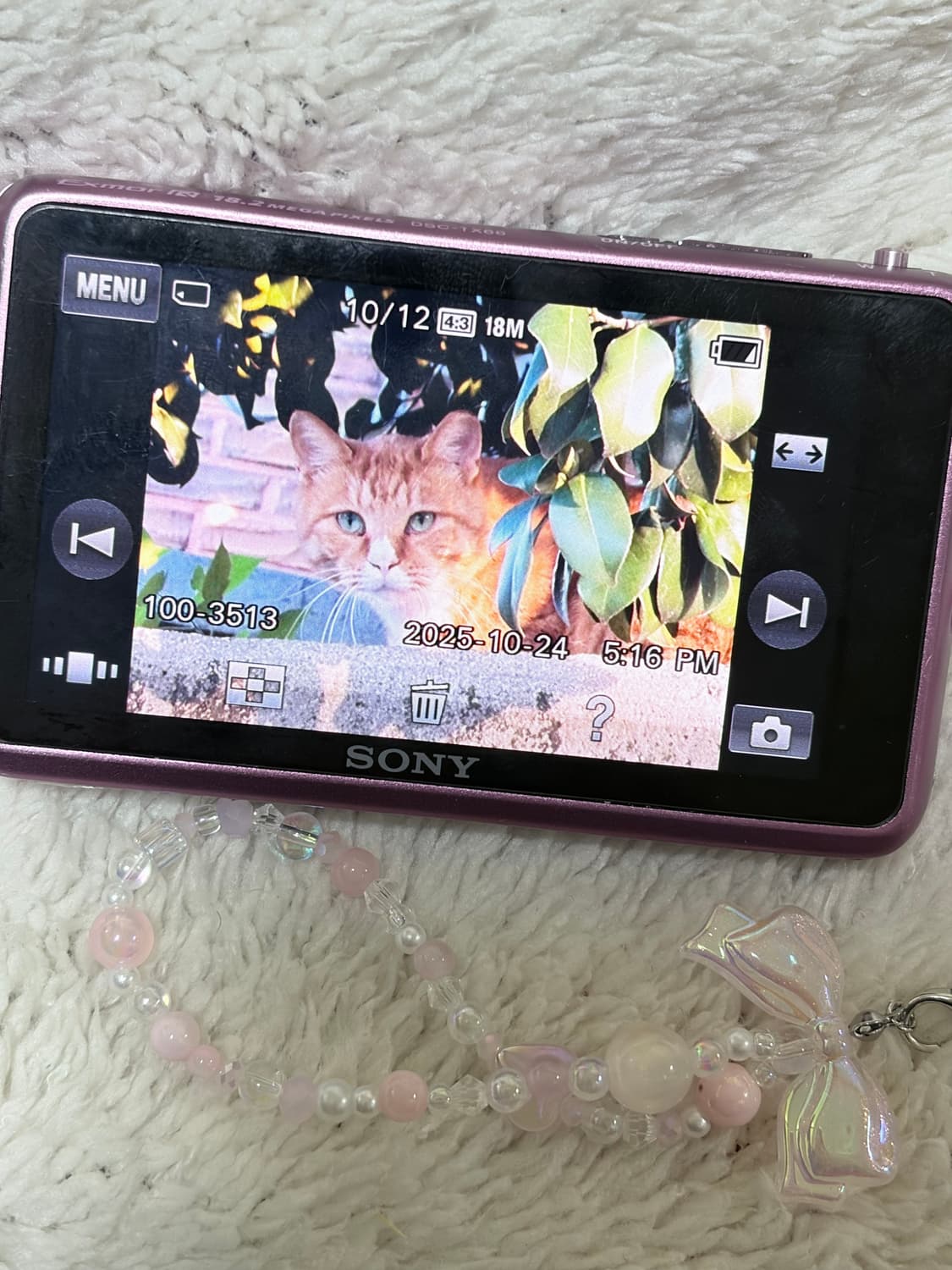 (극희귀매물) 소니 디카 DSC-TX66 상품이미지4