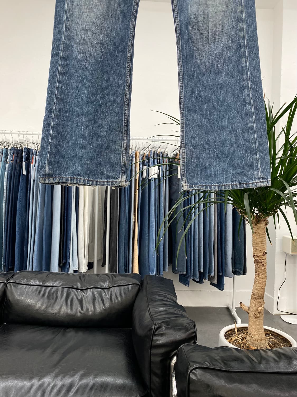 리바이스527 Boots Cut 00s 34사이즈 a5173 상품이미지3