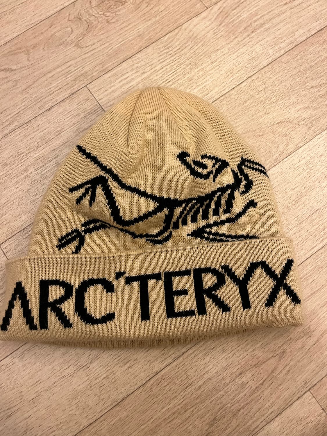 아크테릭스 비니  상품이미지1