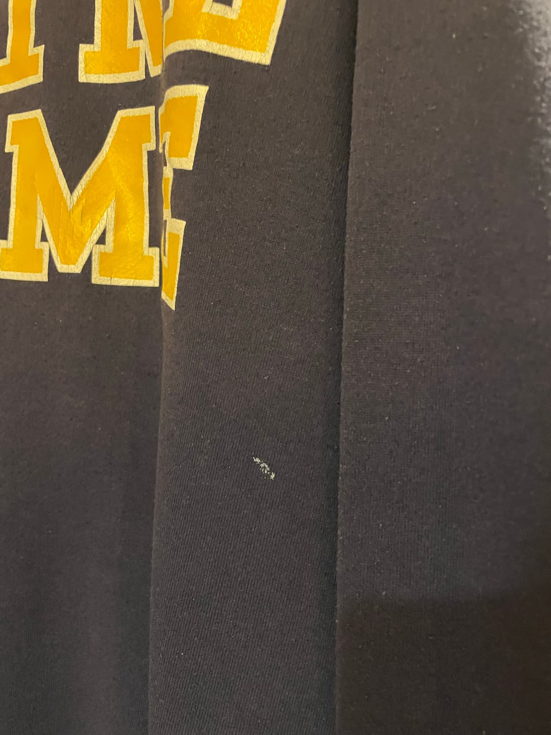 90s jansport 맨투맨 상품이미지4