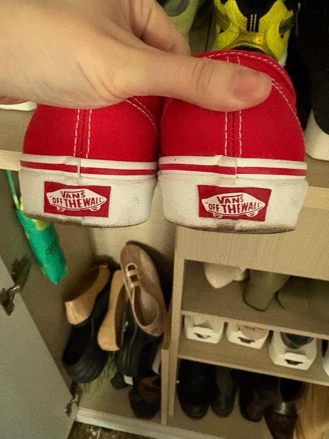 반스 어센틱 250 상품이미지3