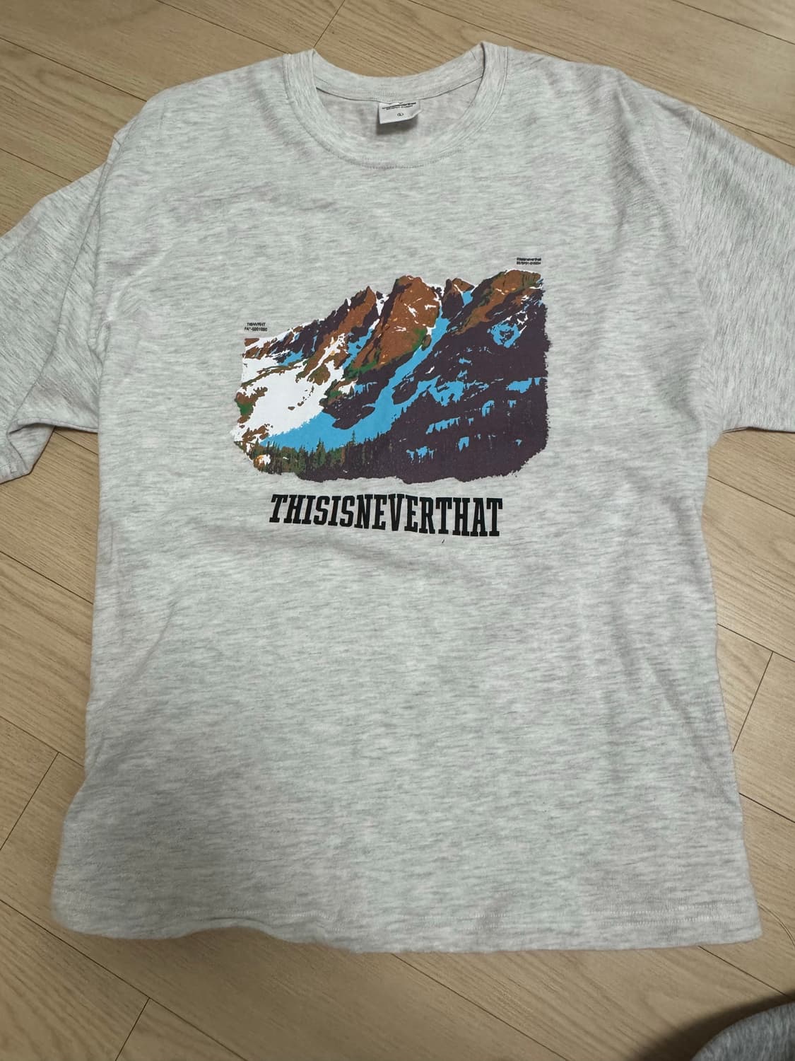 디스이즈네버댓 반팔 상품이미지1