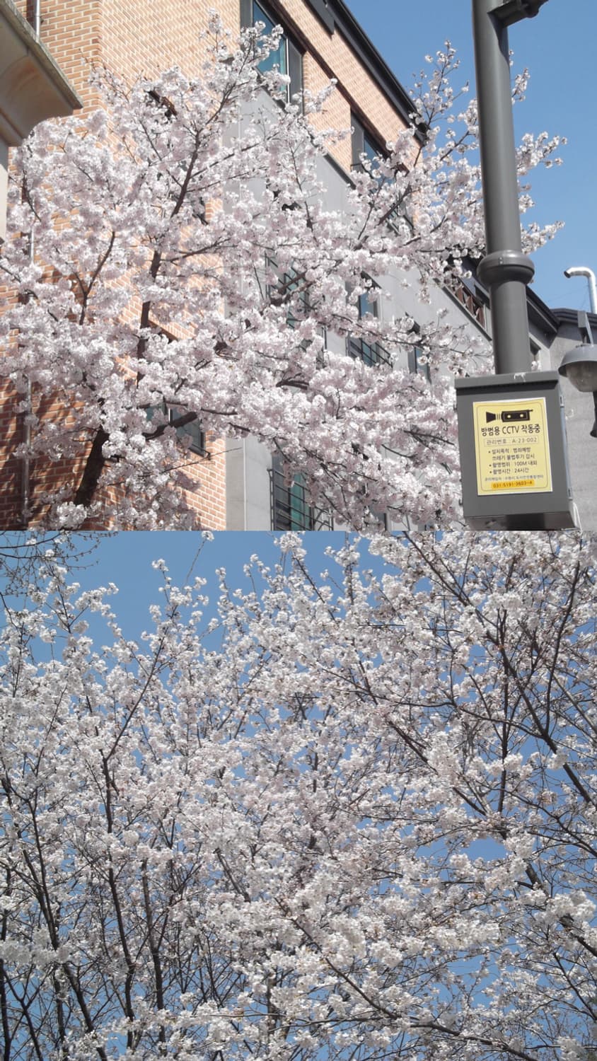 미품.풀박-후지필름 finepix jx280 블루 빈티지디카 상품이미지7