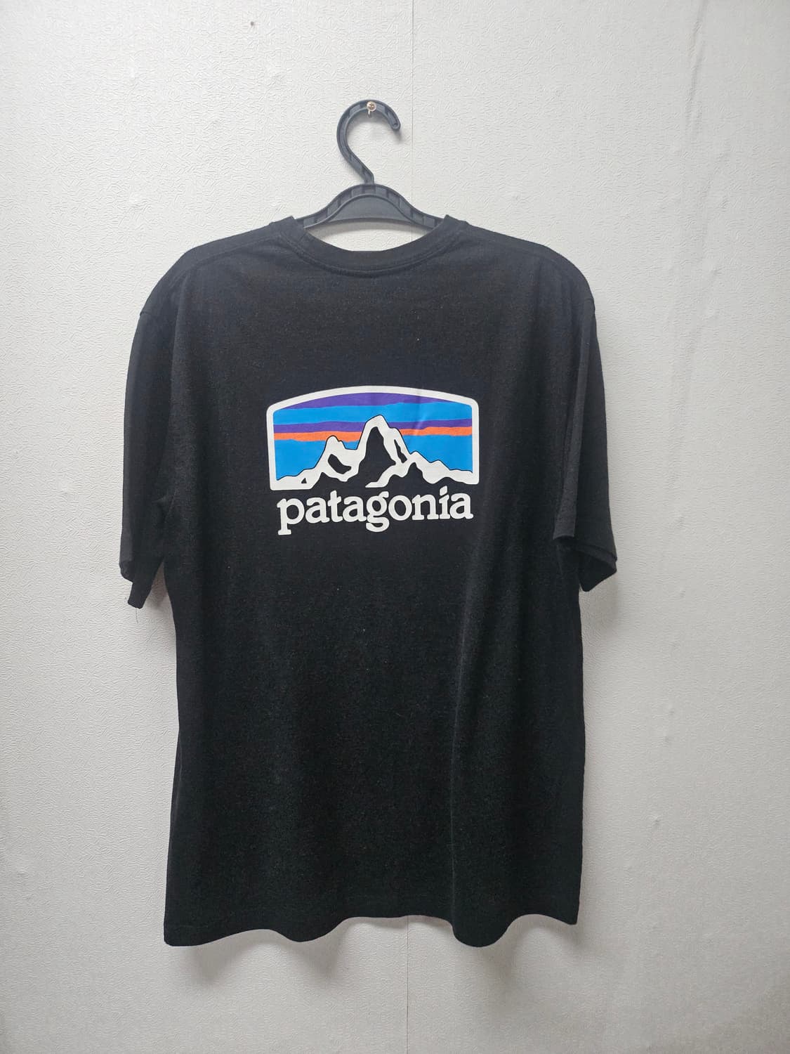 파타고니아 피츠 로이 호라이즌 리스폰시빌리티 블랙 L 상품이미지1