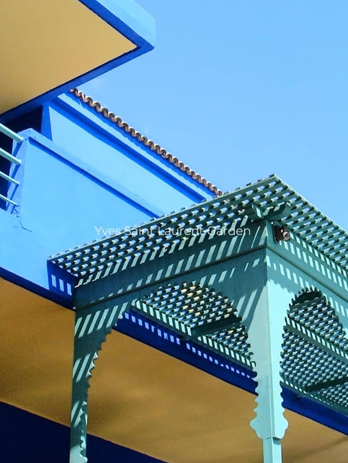 라이카 디지룩스 줌 민트급 상품이미지5