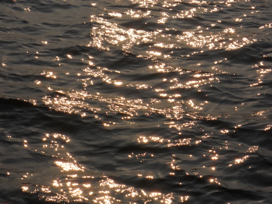 입문&강추!) Nikon Coolpix S620 디카 카메라 상품이미지4