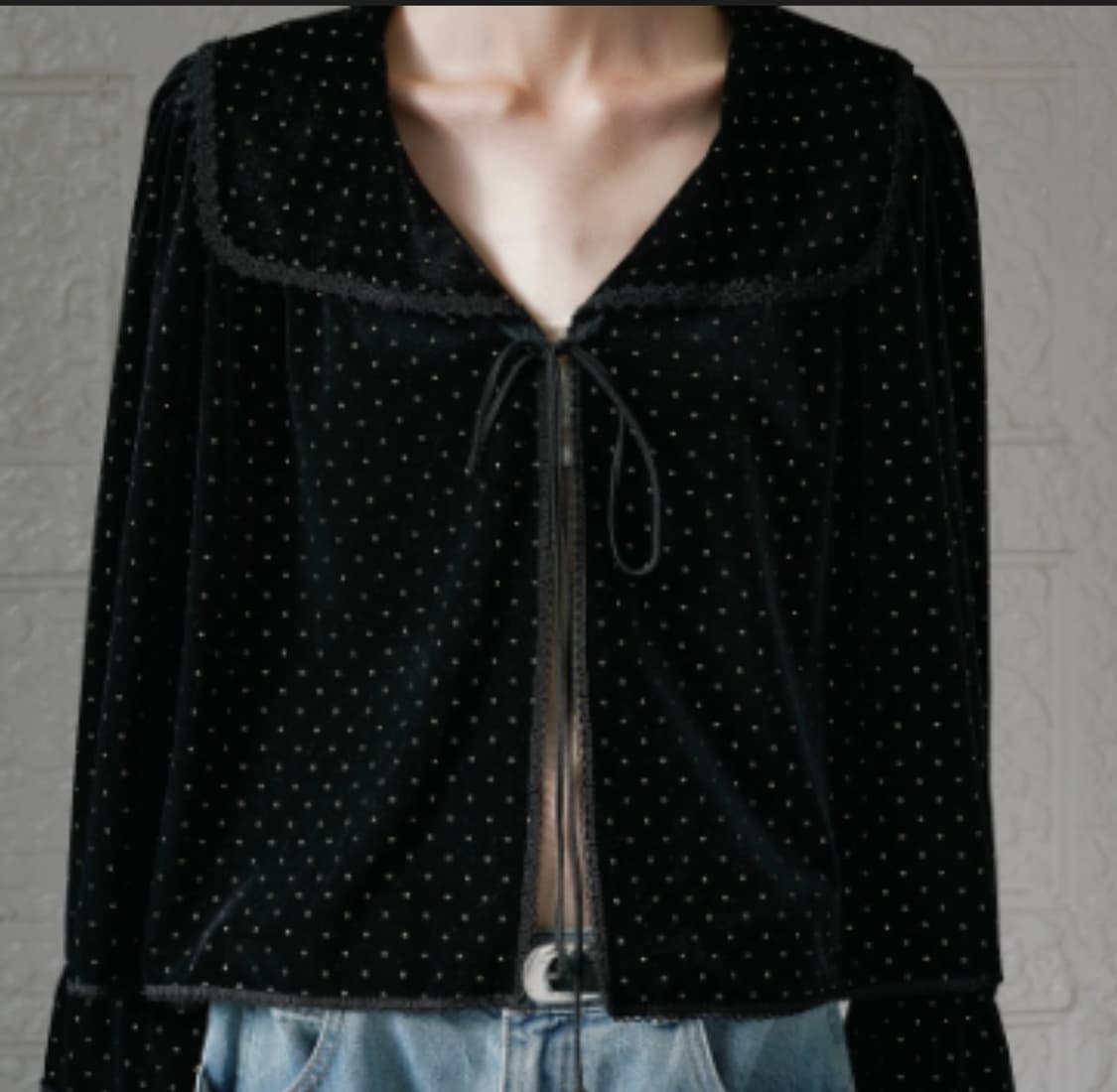 비아플레인 벨벳 도트 블라우스 상품이미지1