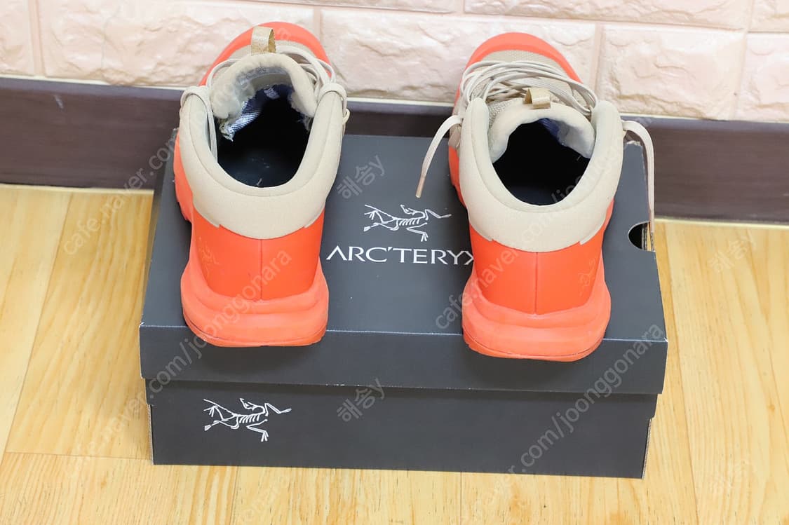 Arc'teryx Aerios FL 2 Mid GTX (아크테릭스 슈즈) 상품이미지2