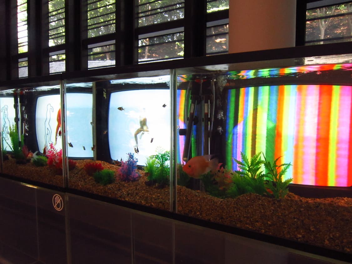 소니 HD Bloggie 휴대용 캠코더 MHS-PM5 상품이미지6