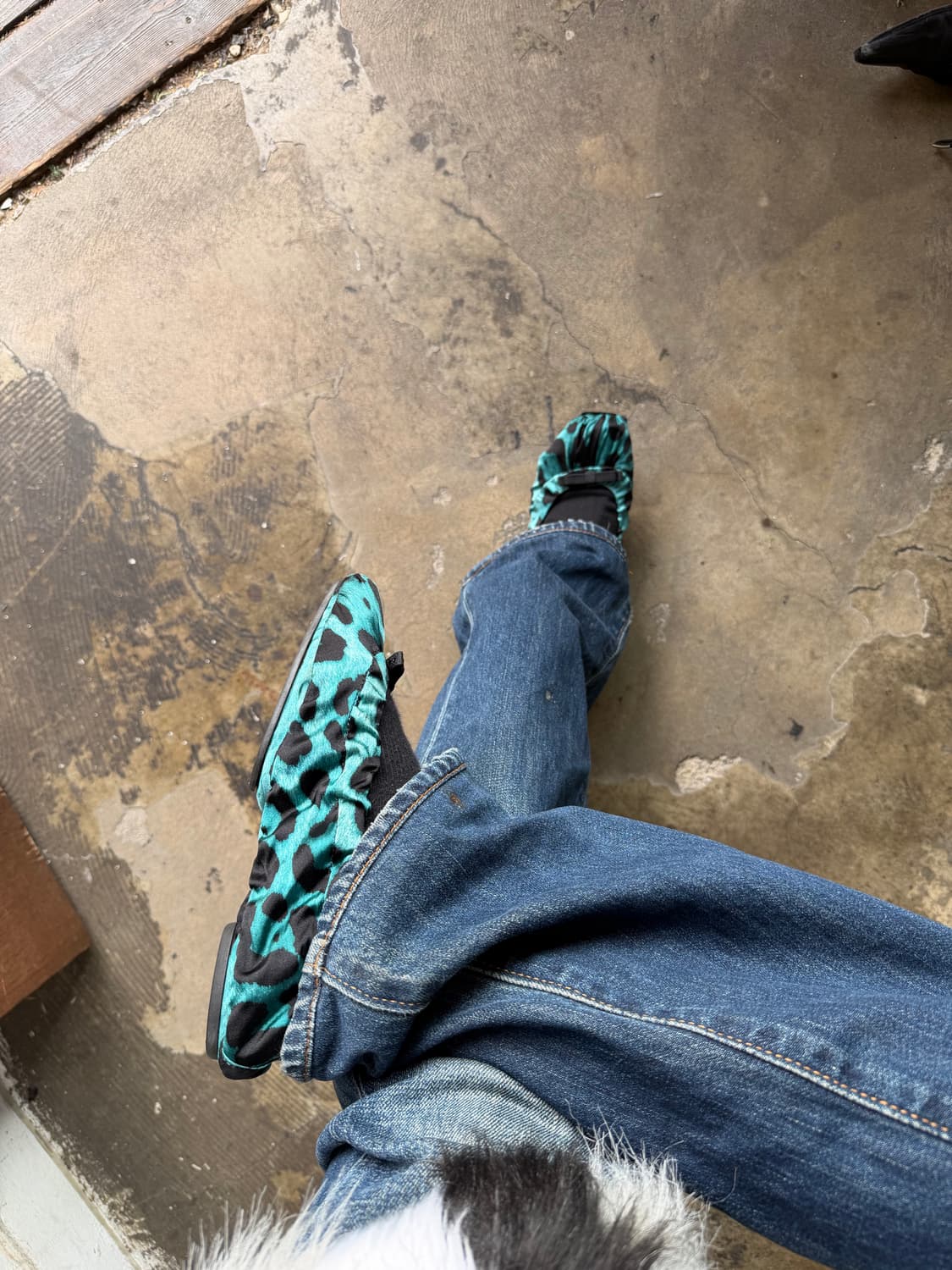 돌체앤가바나 레오파드 실크 플랫 슈즈 상품이미지5