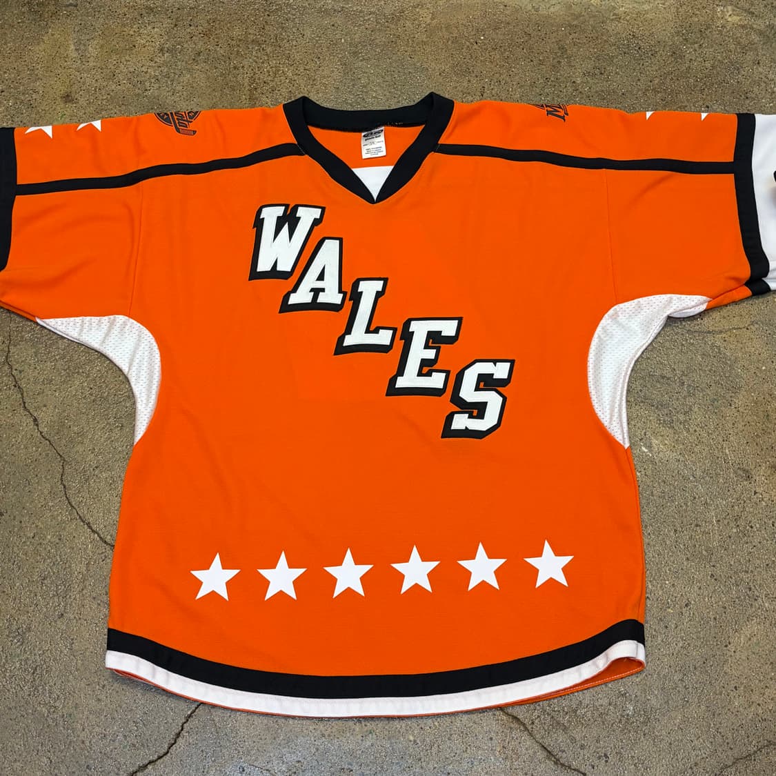 00s Made in canada 미국 빈티지 웨일즈 아이스하키 져지 상품이미지3