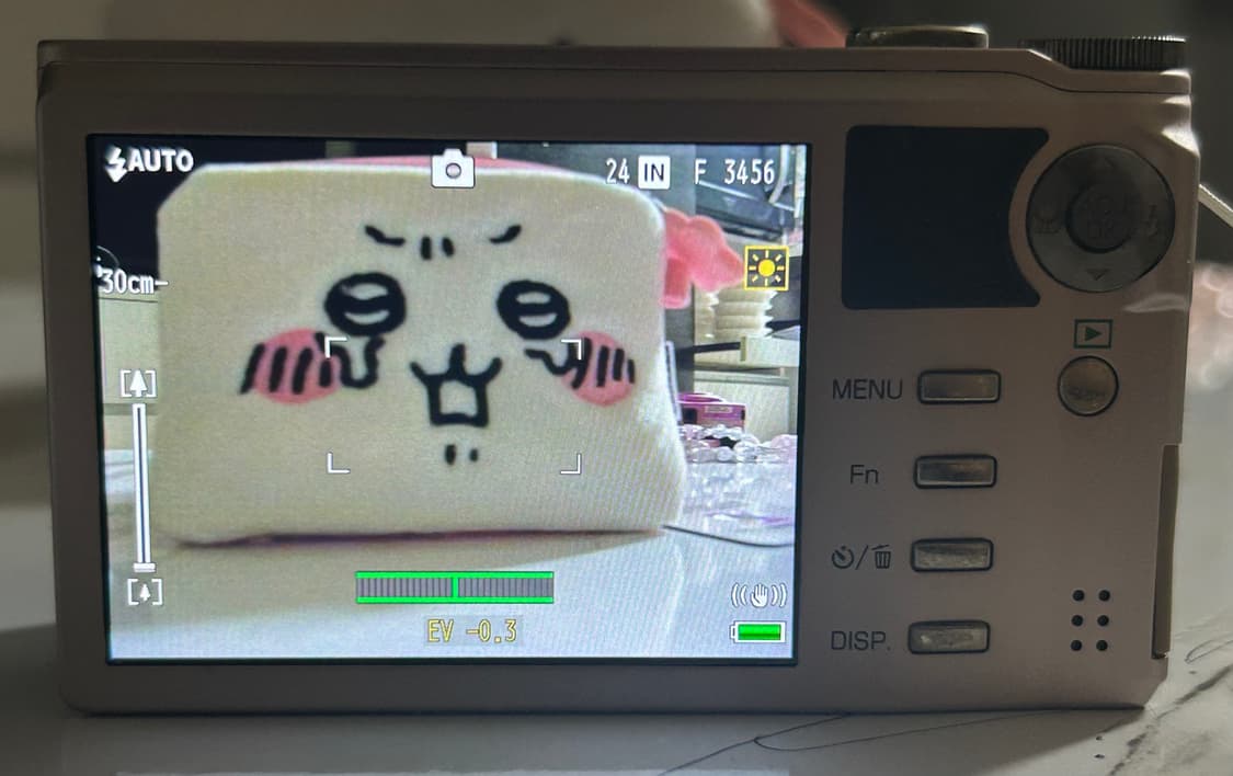 Ricoh 리코 cx1 핑크 디카 상품이미지3