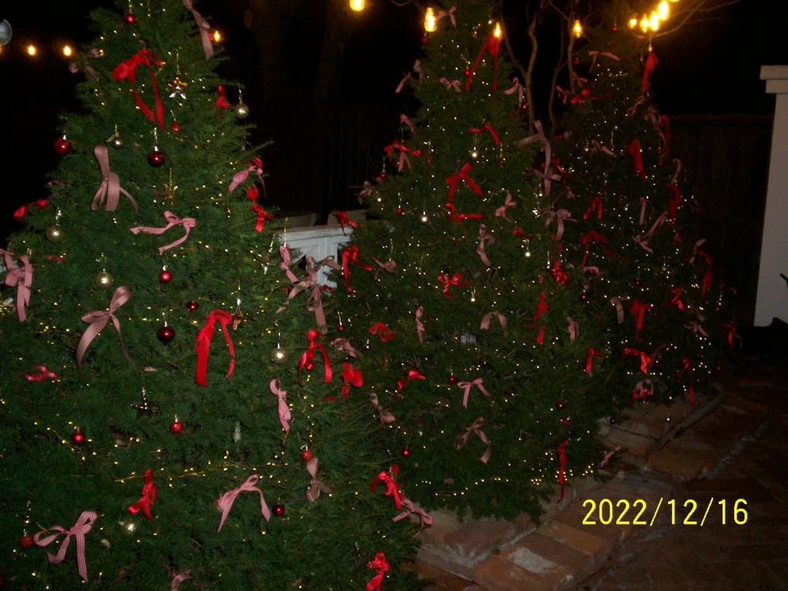 코닥 이지쉐어 c310 (sd카드 미포함) 상품이미지3