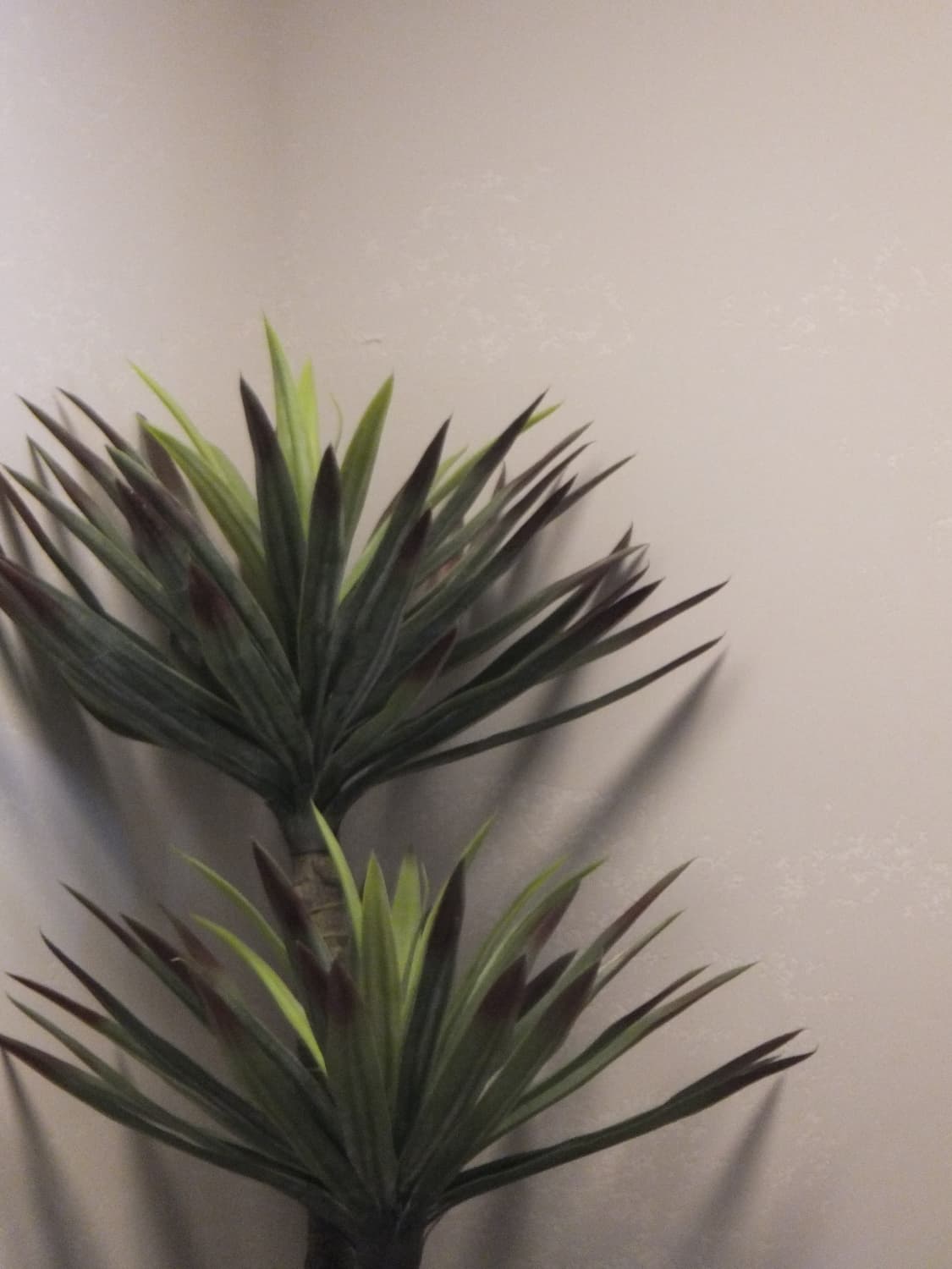 필름색감&강추!) FujiFilm Finepix JV250 디카 카메라 상품이미지4