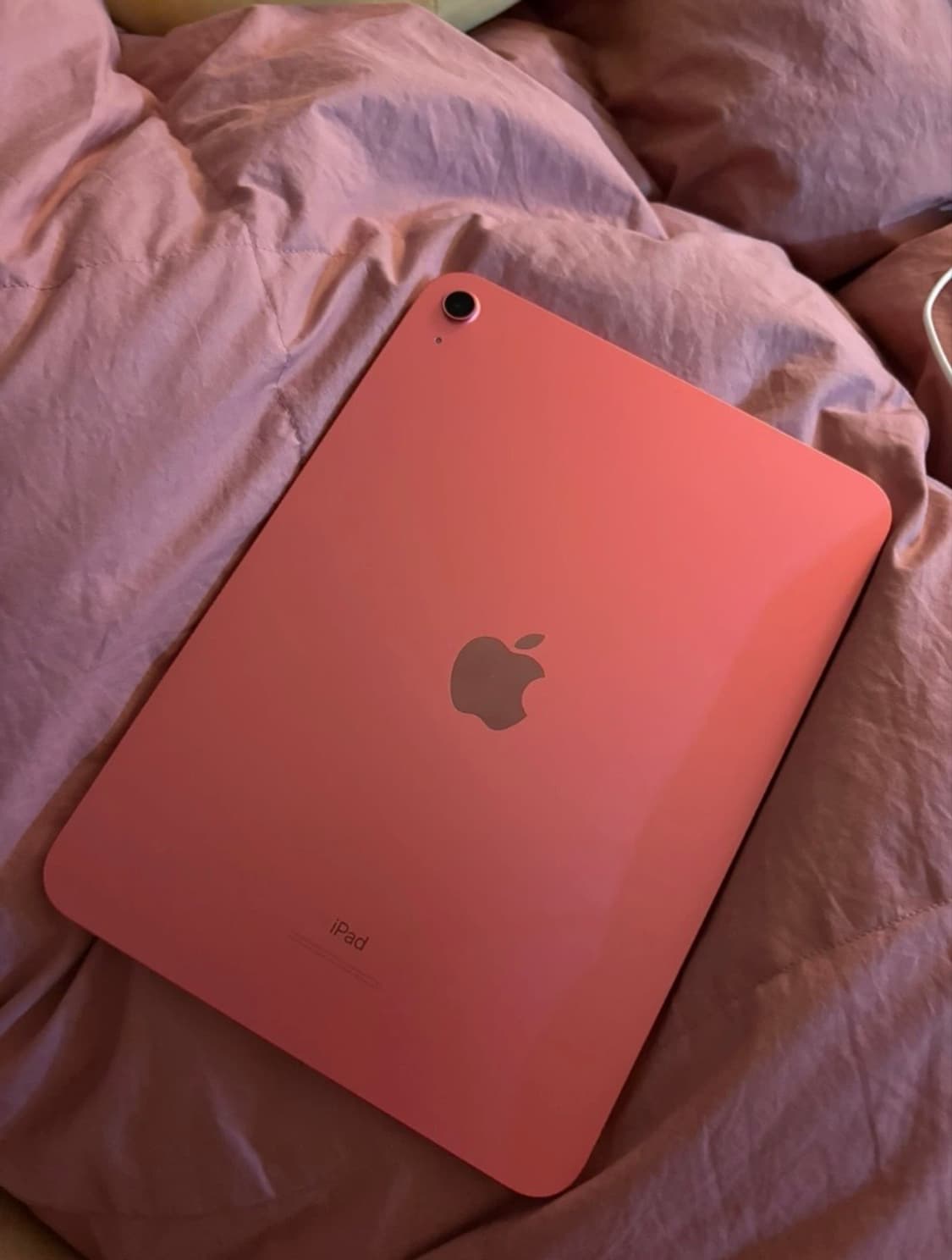 아이패드 10 세대 64GB 상품이미지2