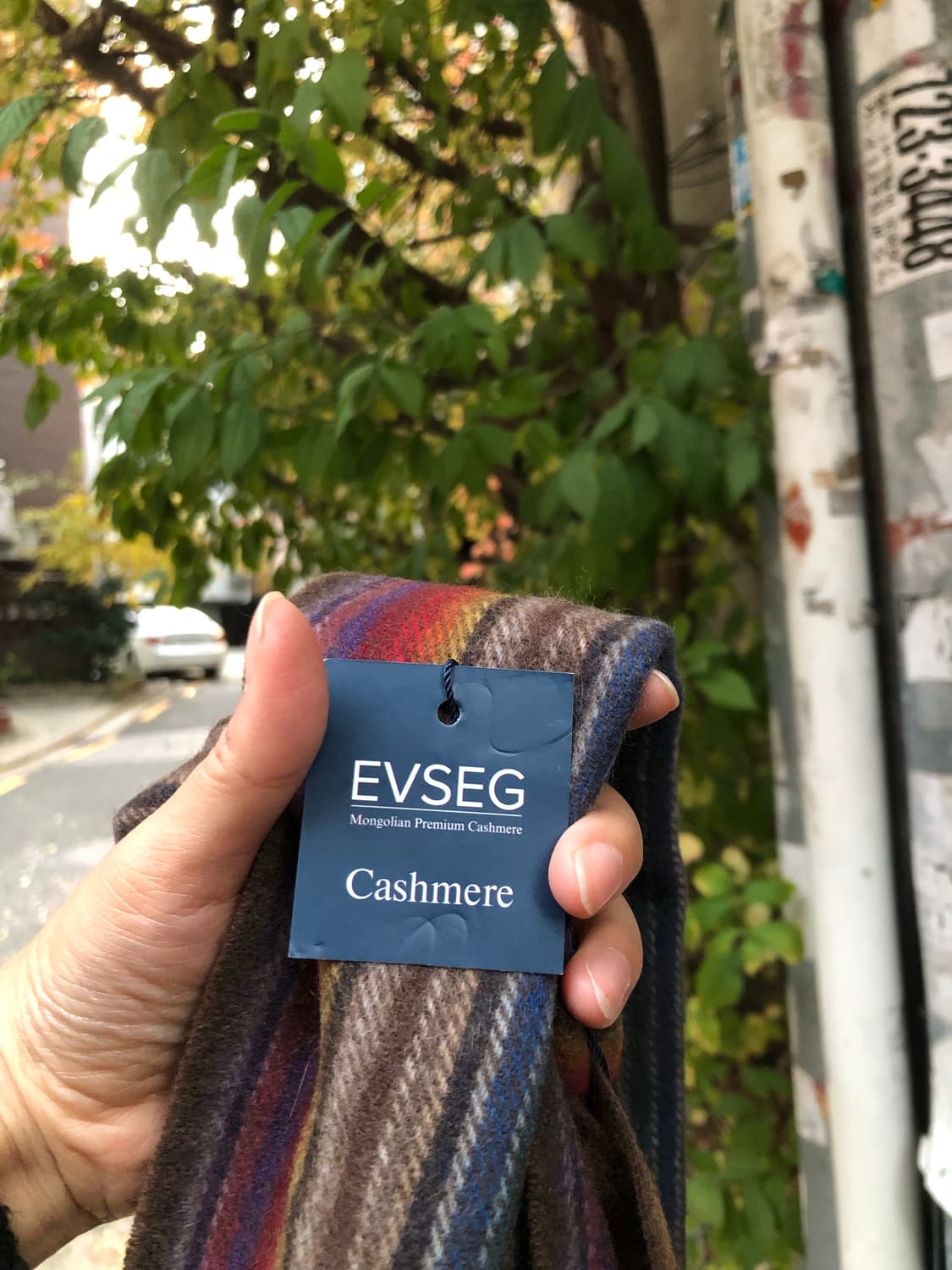 EVSEG muffler (100% cashmere) 상품이미지8