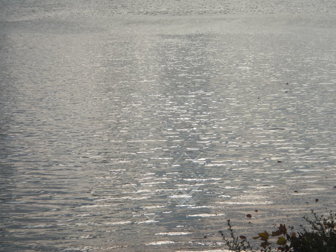 니콘 쿨픽스 aw100 카모 디카 상품이미지9