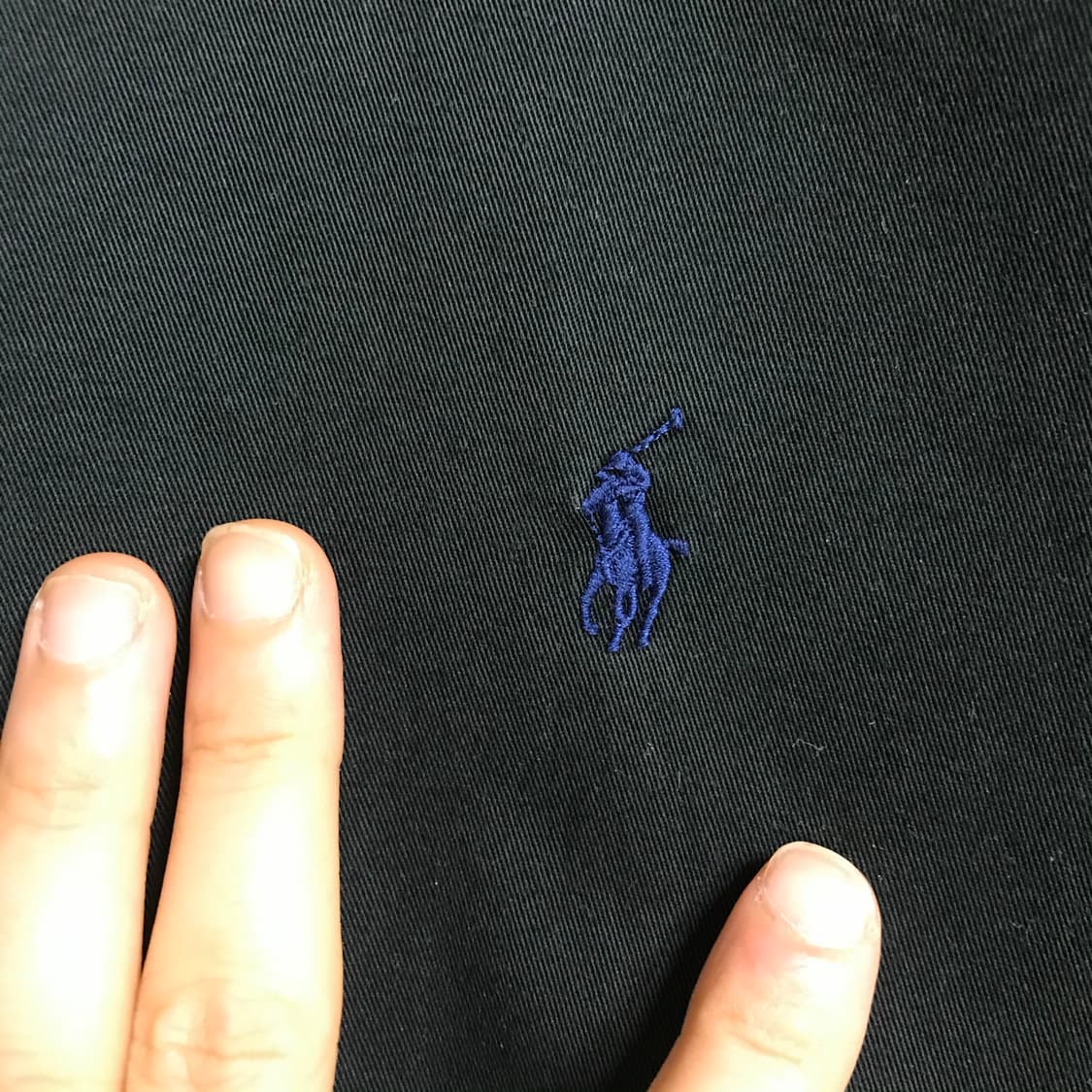 폴로 검정 솔리드 단색셔츠 상품이미지3