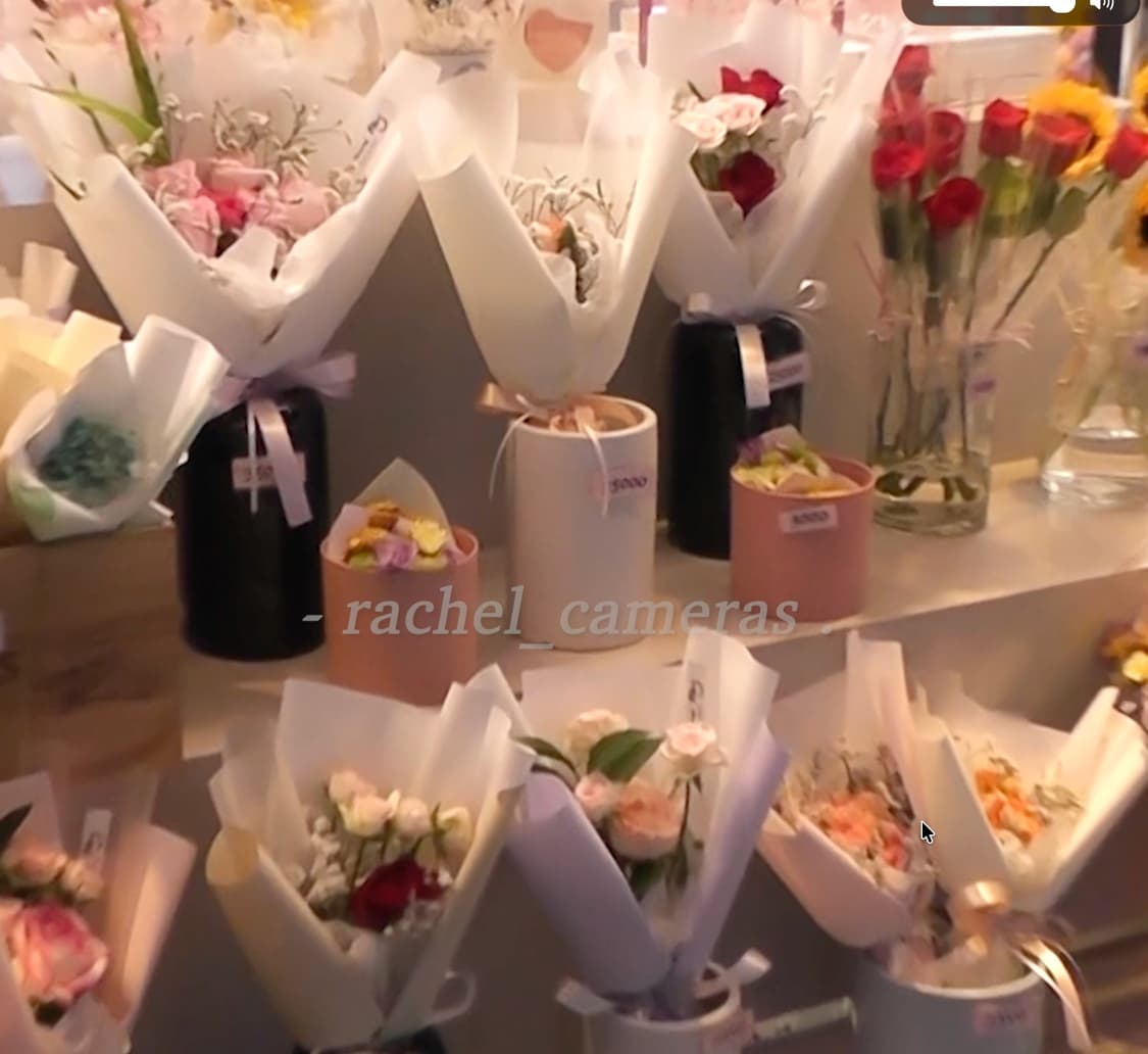 파나소닉 hdc tm45 핑크컬러 (영상캡쳐본 0) 상품이미지2