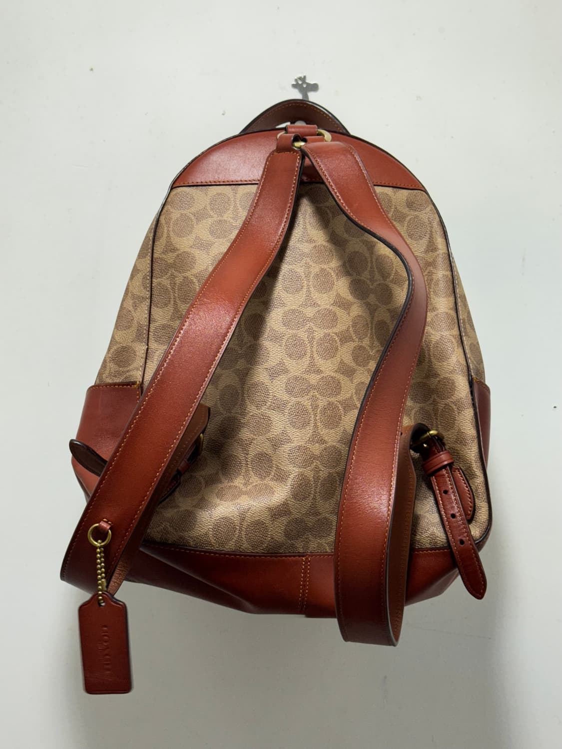 코치 시그니처 캠퍼스 상품이미지2