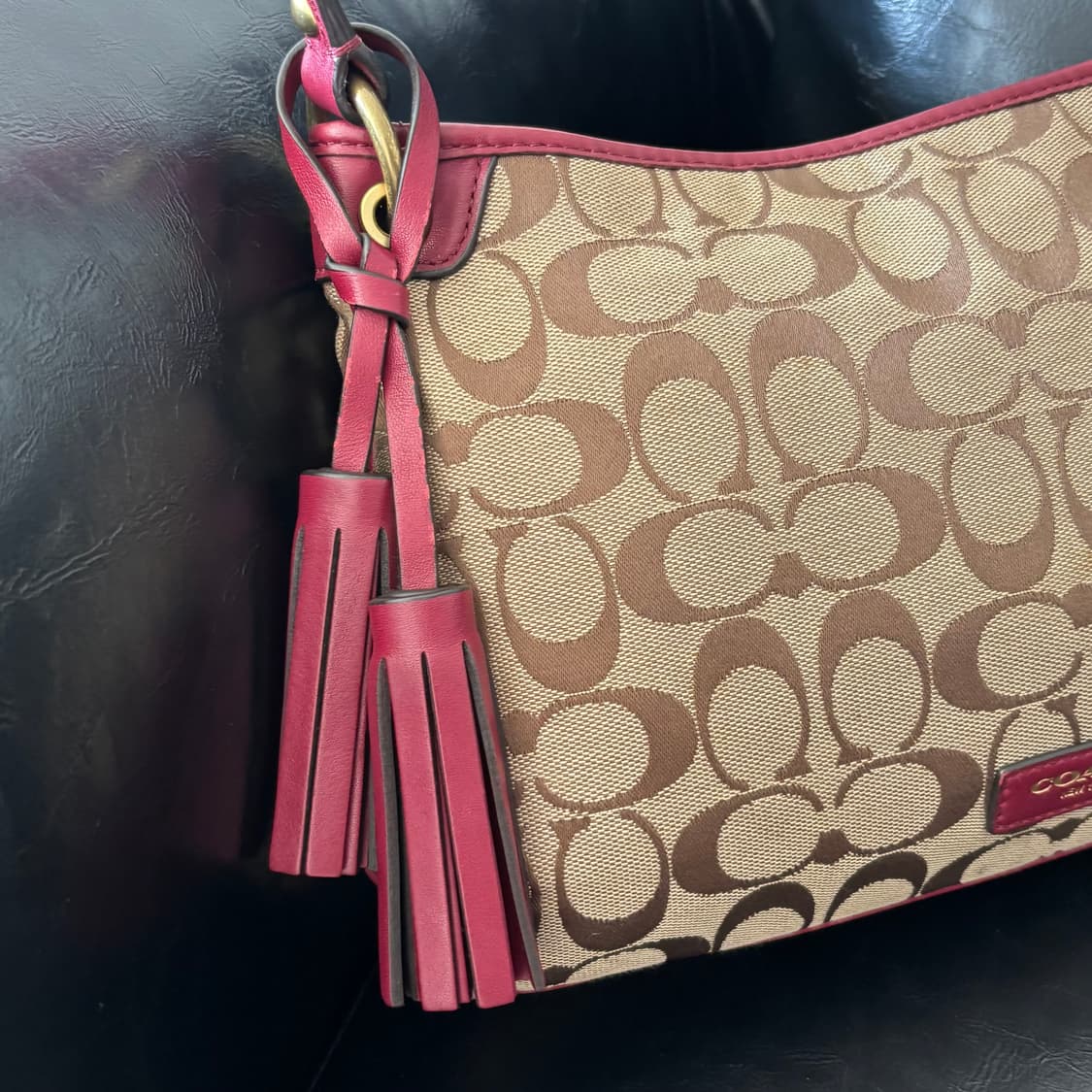 Coach Signature Canvas Hobo 상품이미지3