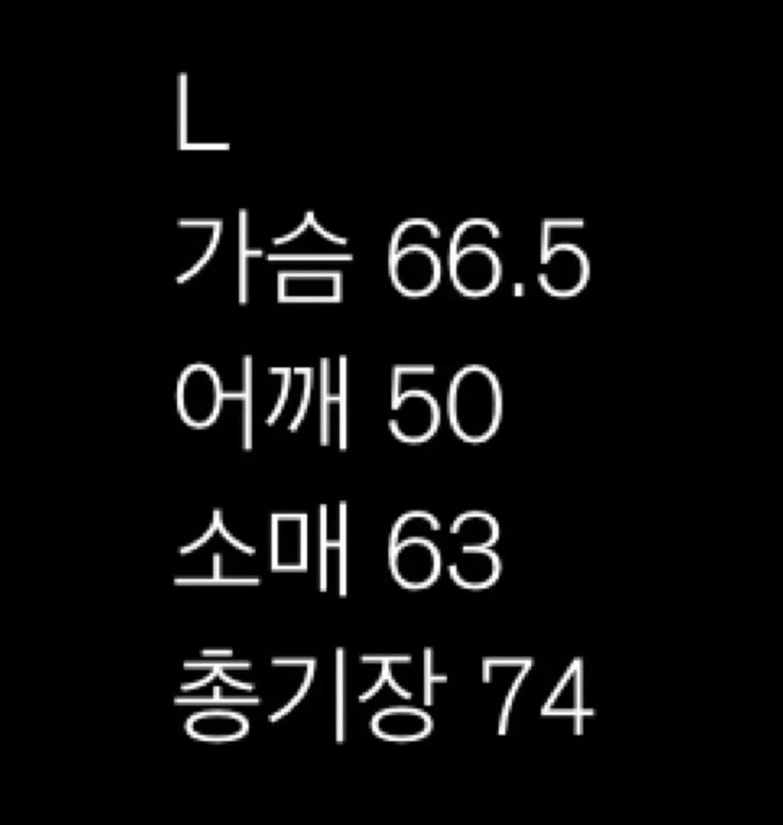 블랙아웃 티어스셔츠 L 상품이미지2