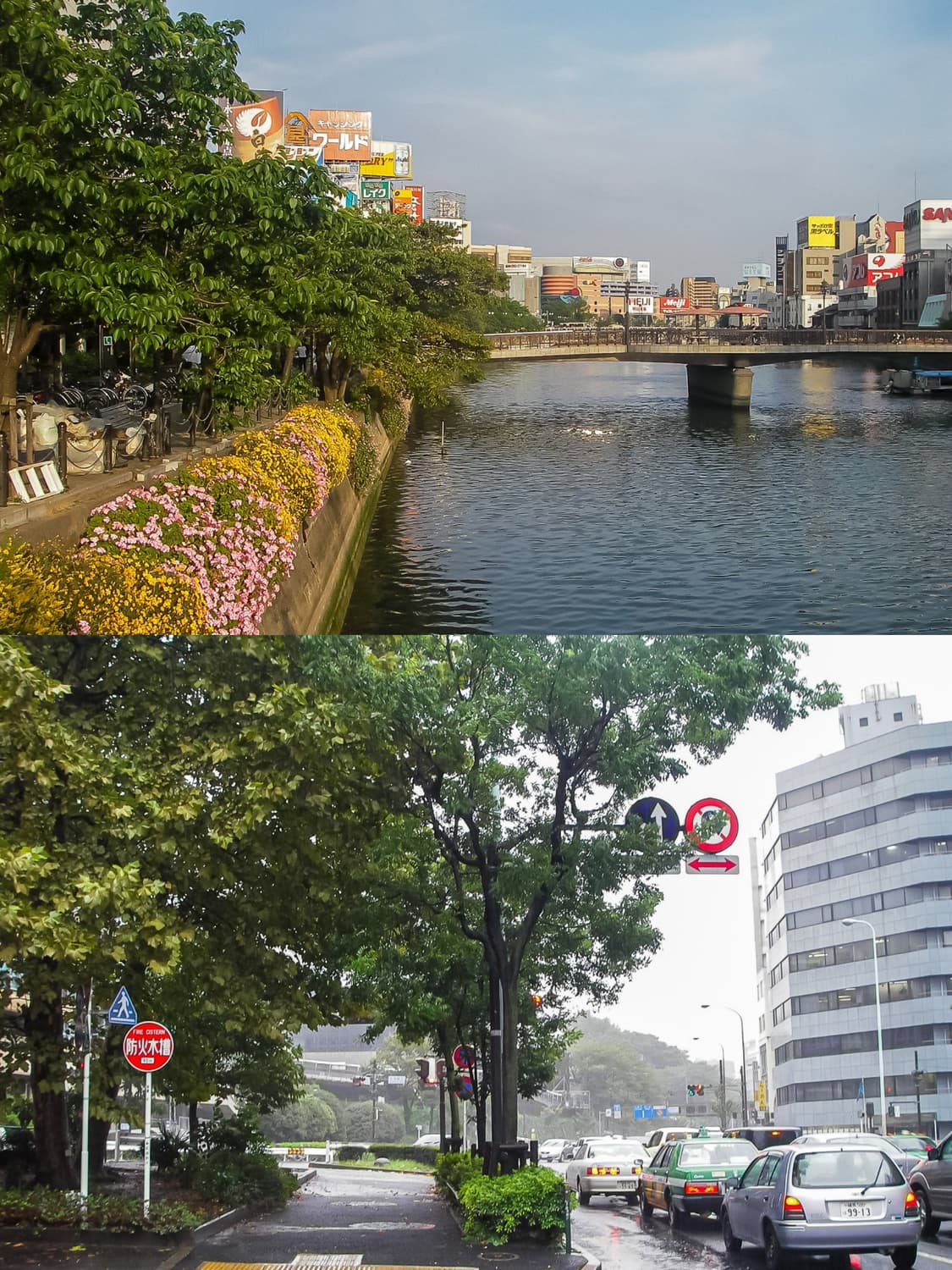 레드벨벳 슬기🩵한글지원🩵 펜탁스 옵티오 WP 상품이미지5