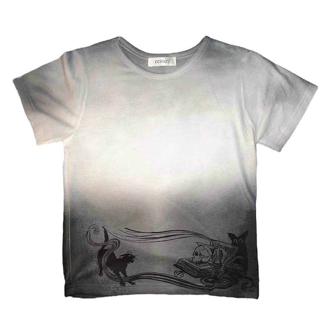 eessay spreading angel t-shirt 에세이 반팔 상품이미지2