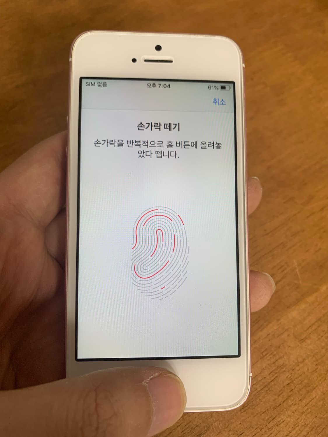 아이폰SE 로즈골드 64GB 상품이미지8