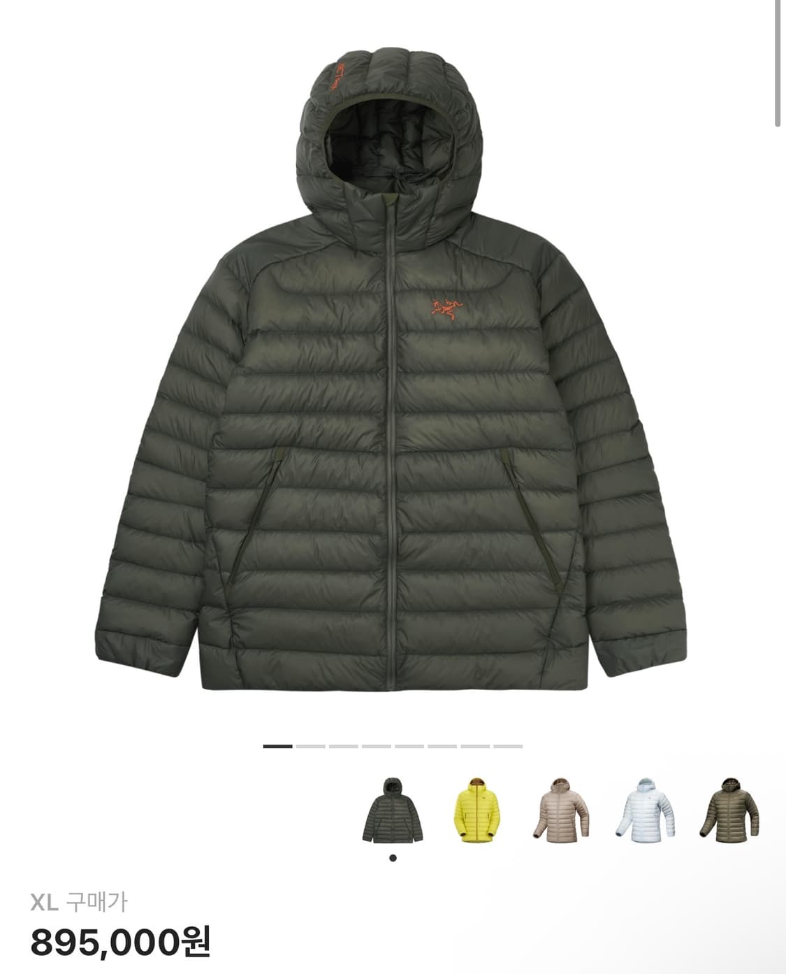 아크테릭스 세륨 후디 포리지 베르베 XL 새상품 상품이미지1