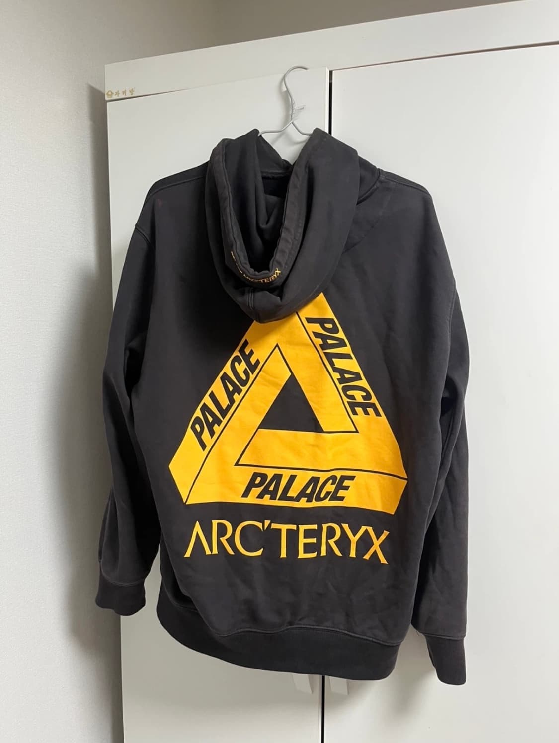 아크테릭스 x 팔라스  상품이미지3