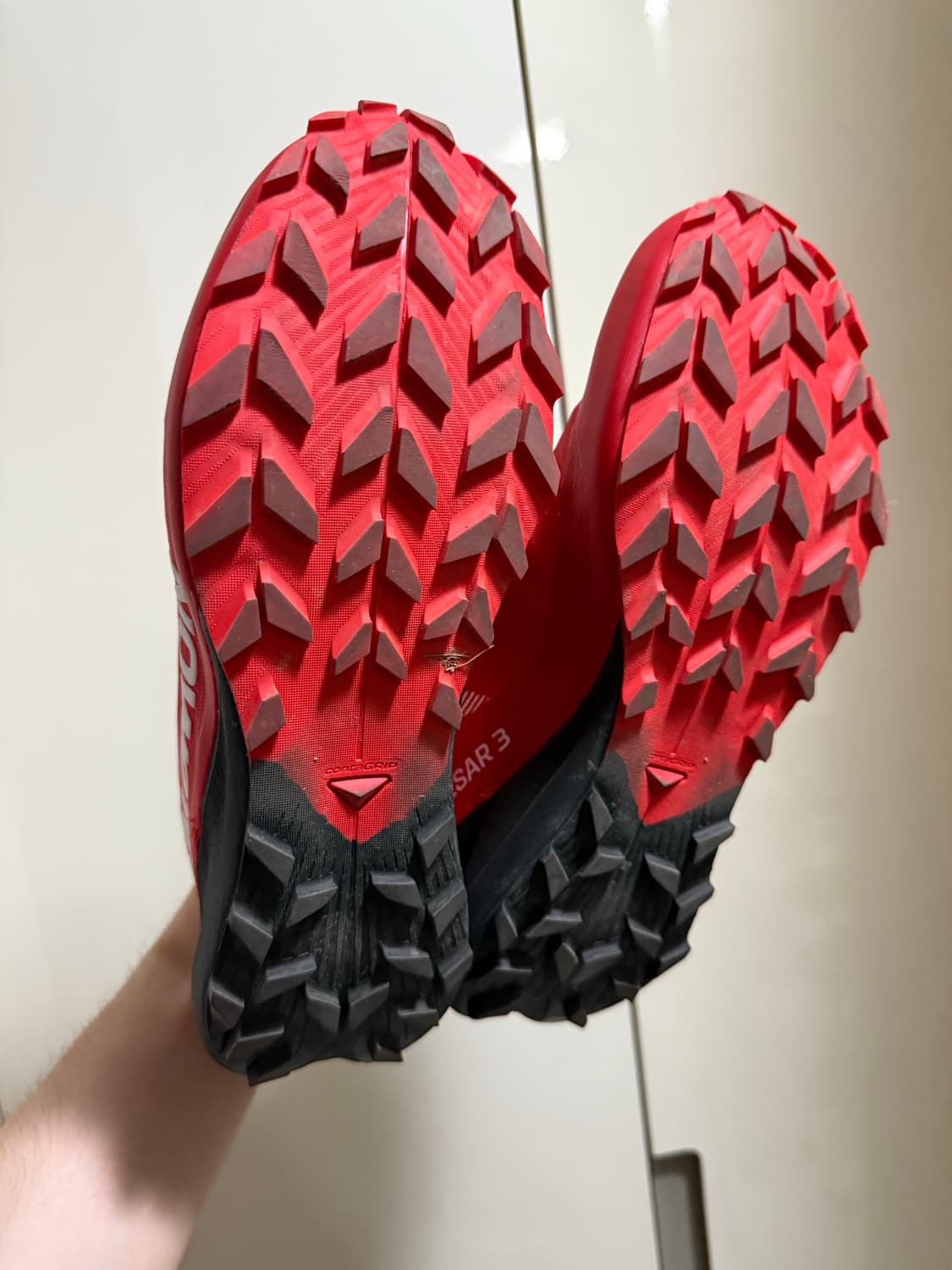 살로몬 펄사3 270 상품이미지3